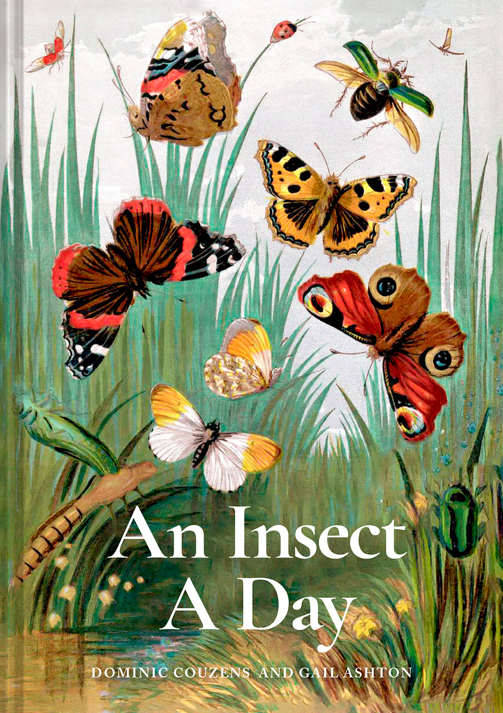 Boek 'An Insect A Day'