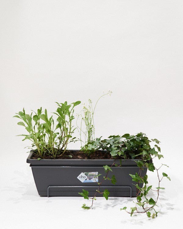 Balkonbak met planten