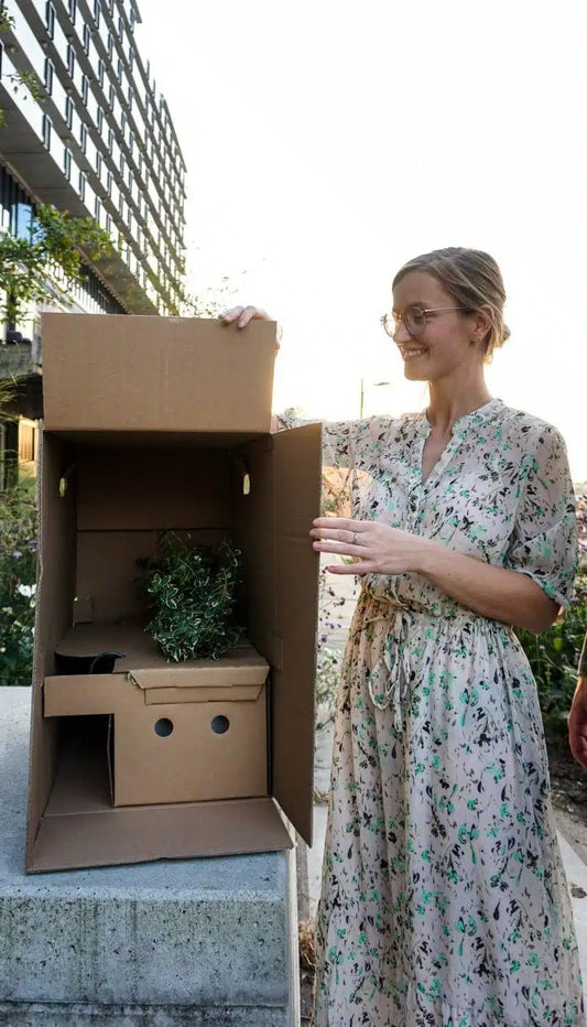 Balkonbak inclusief planten – XL (55cm)