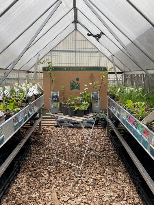 Bijtankstationpakket biologisch