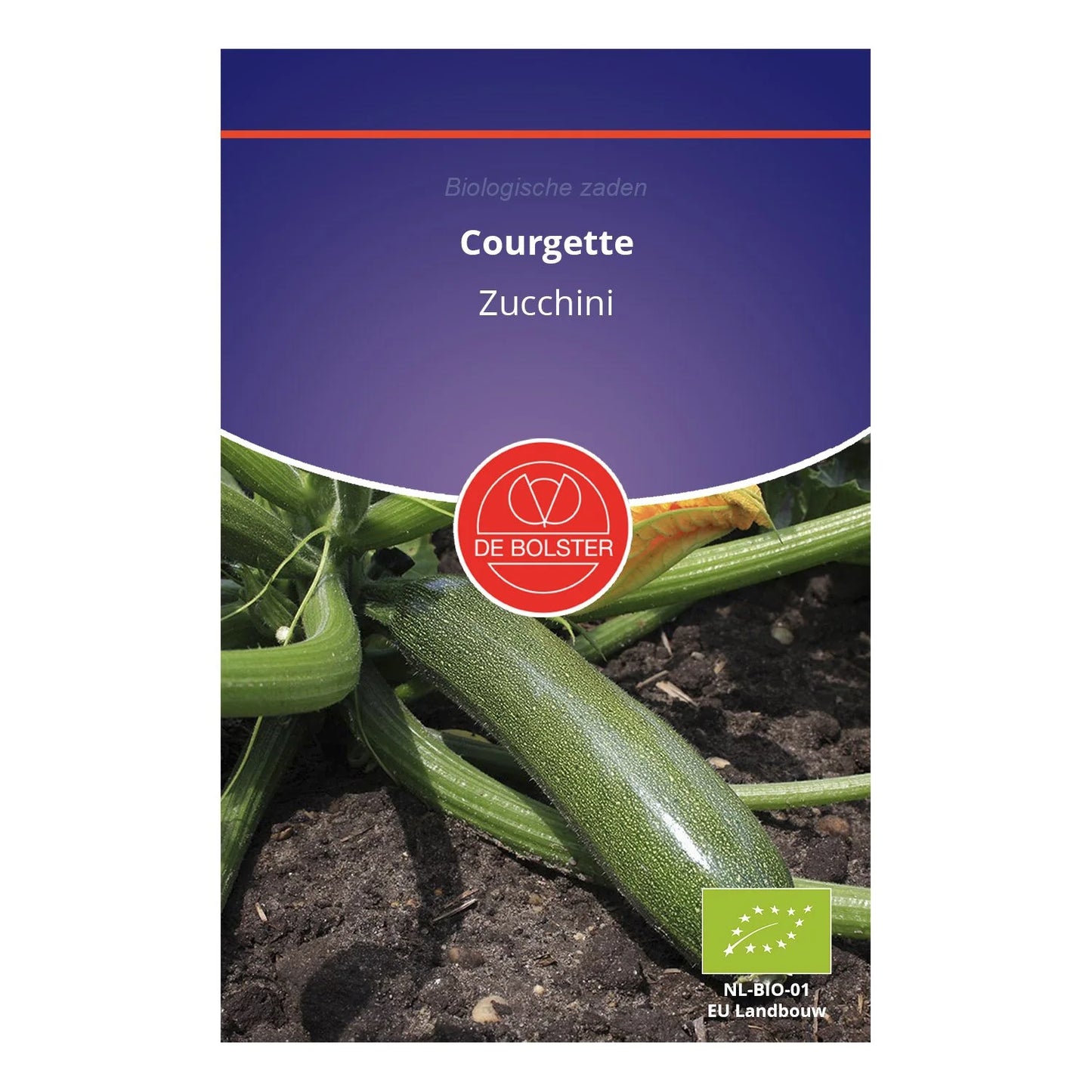 Courgette 'Zucchini' De Bolster