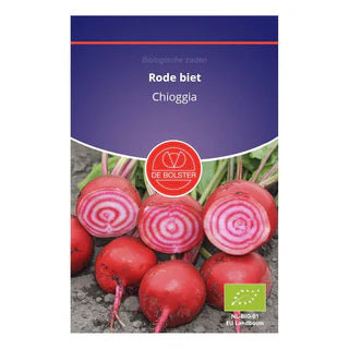 Rode biet 'Chioggia' De Bolster