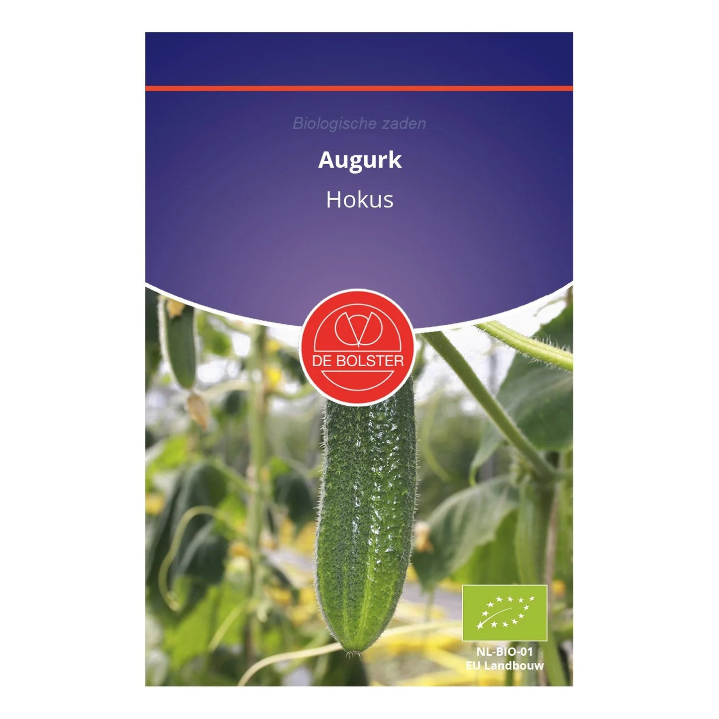 Augurk 'Hokus' De Bolster