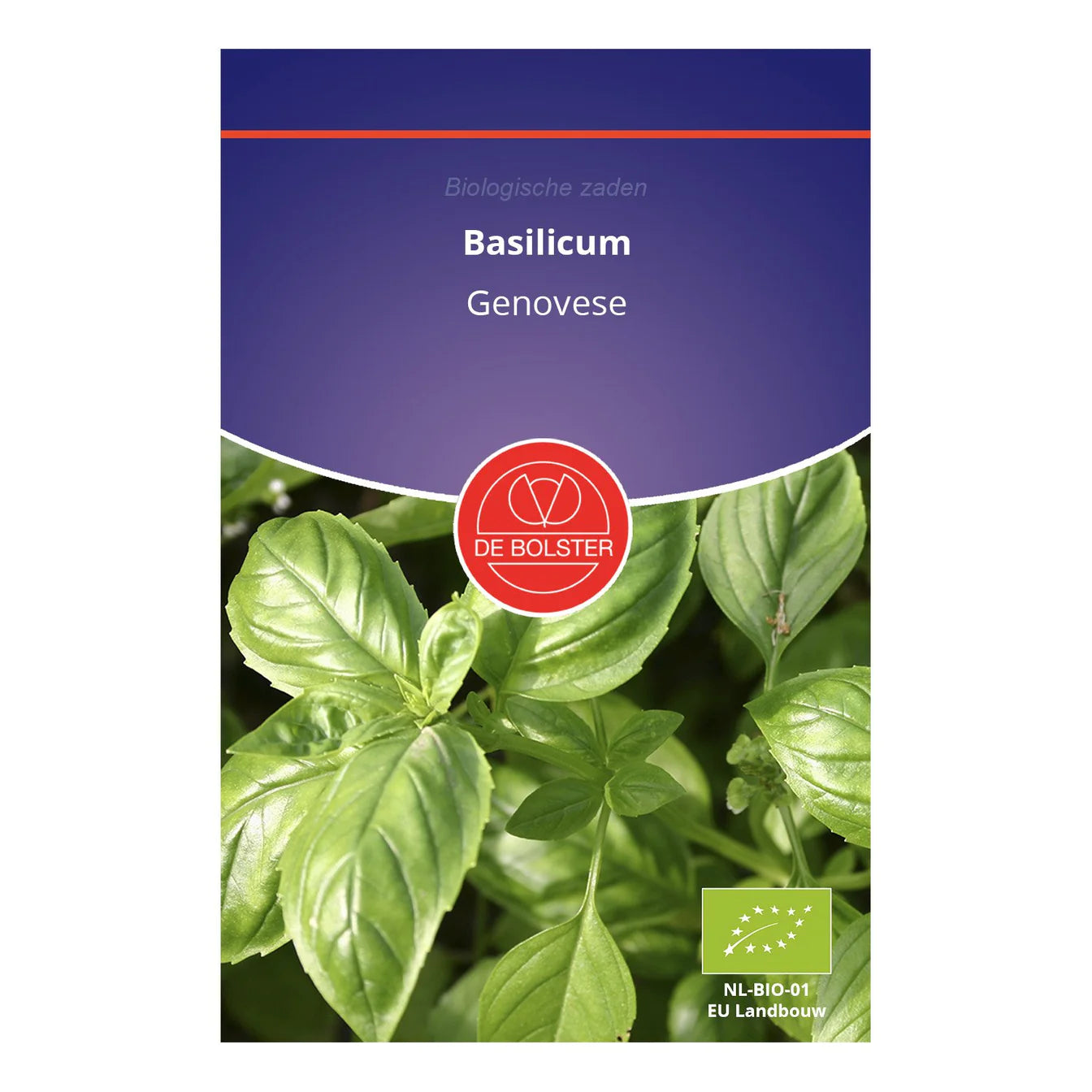 Basilicum 'Genovese' De Bolster