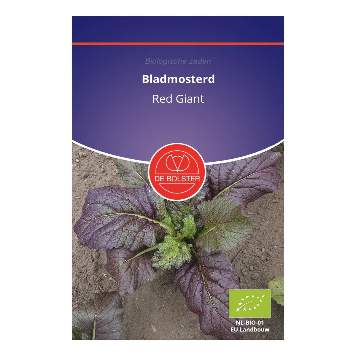 Bladmosterd 'Red Giant' De Bolster