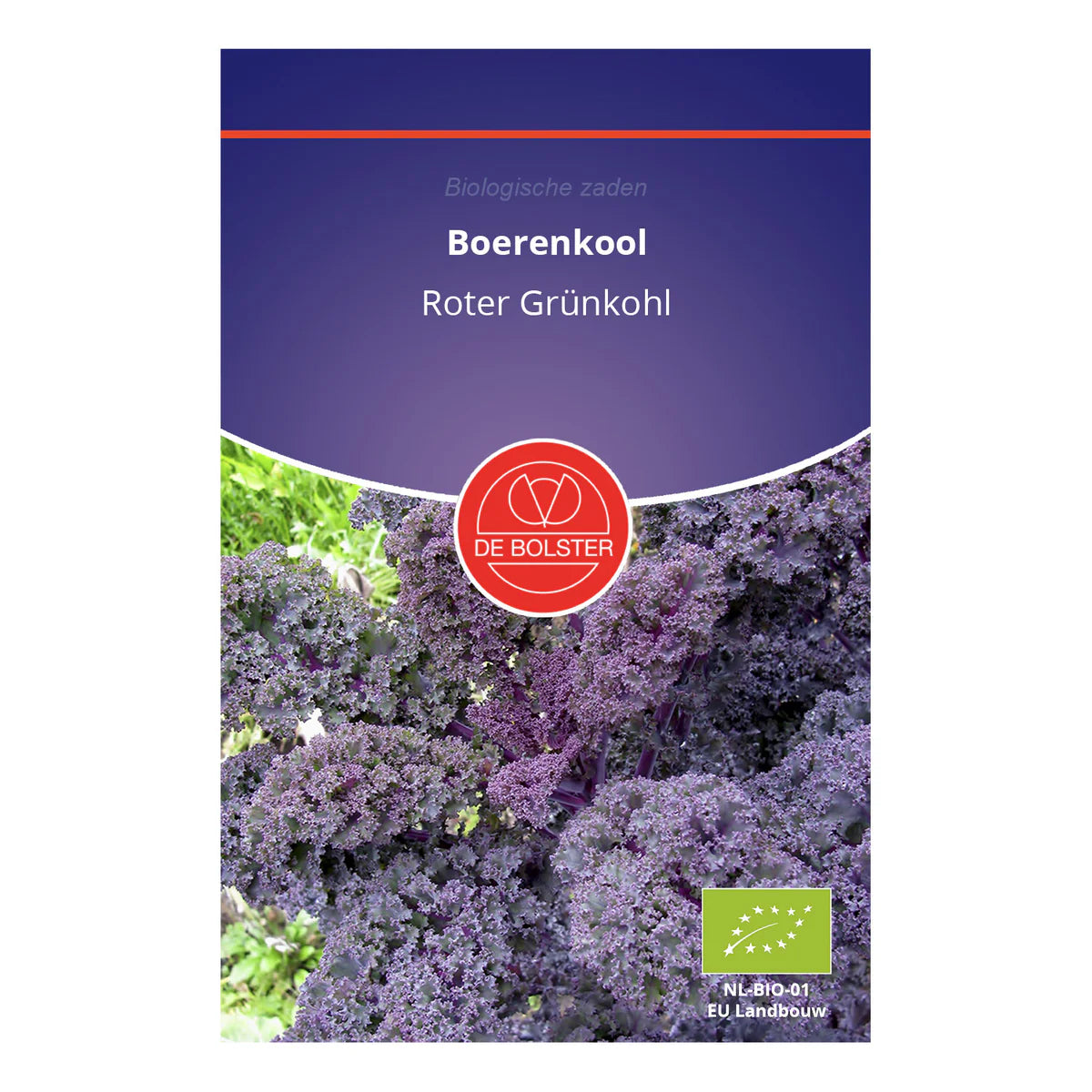 Boerenkool 'Roter Grünkohl' De Bolster
