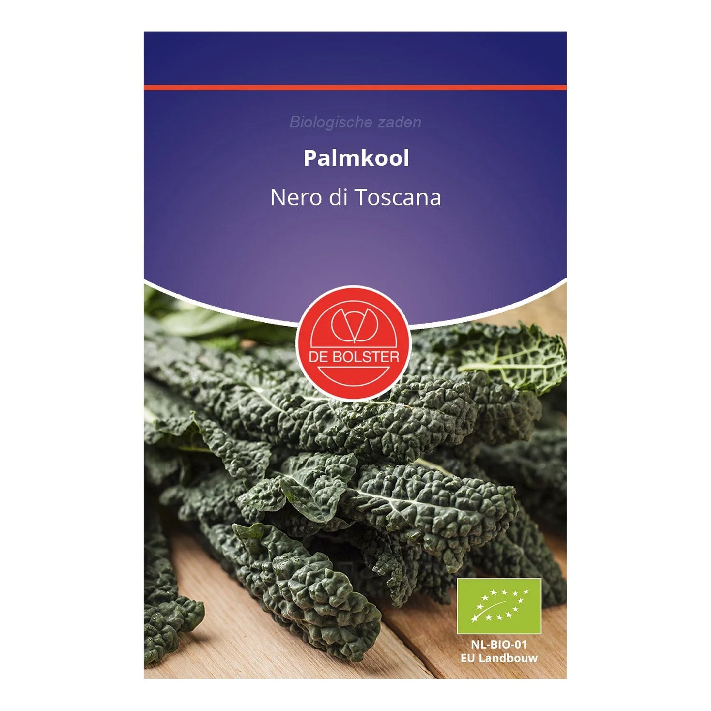 Palmkool 'Nero di Toscana' De Bolster