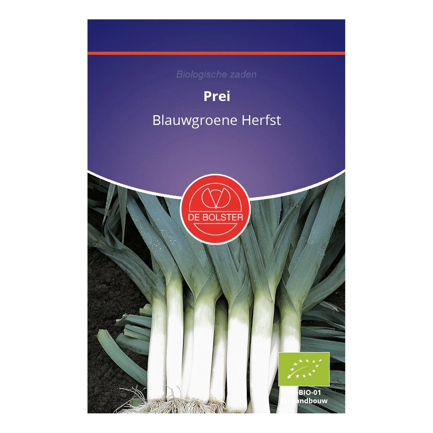 Prei 'Blauwgroene Herfst' De Bolster