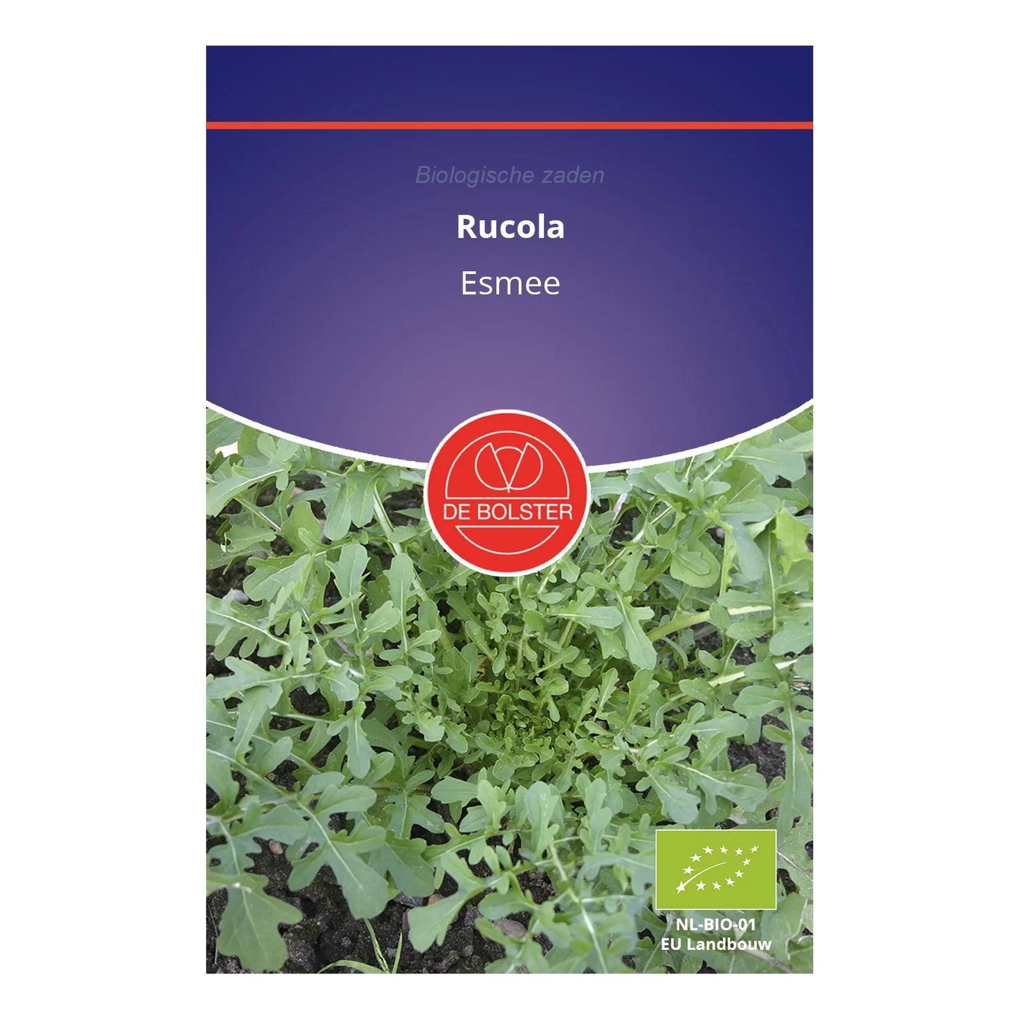 Rucola 'Esmée' De Bolster