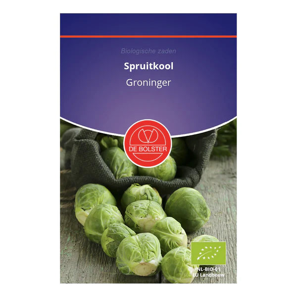 Spruitkool 'Groninger' De Bolster