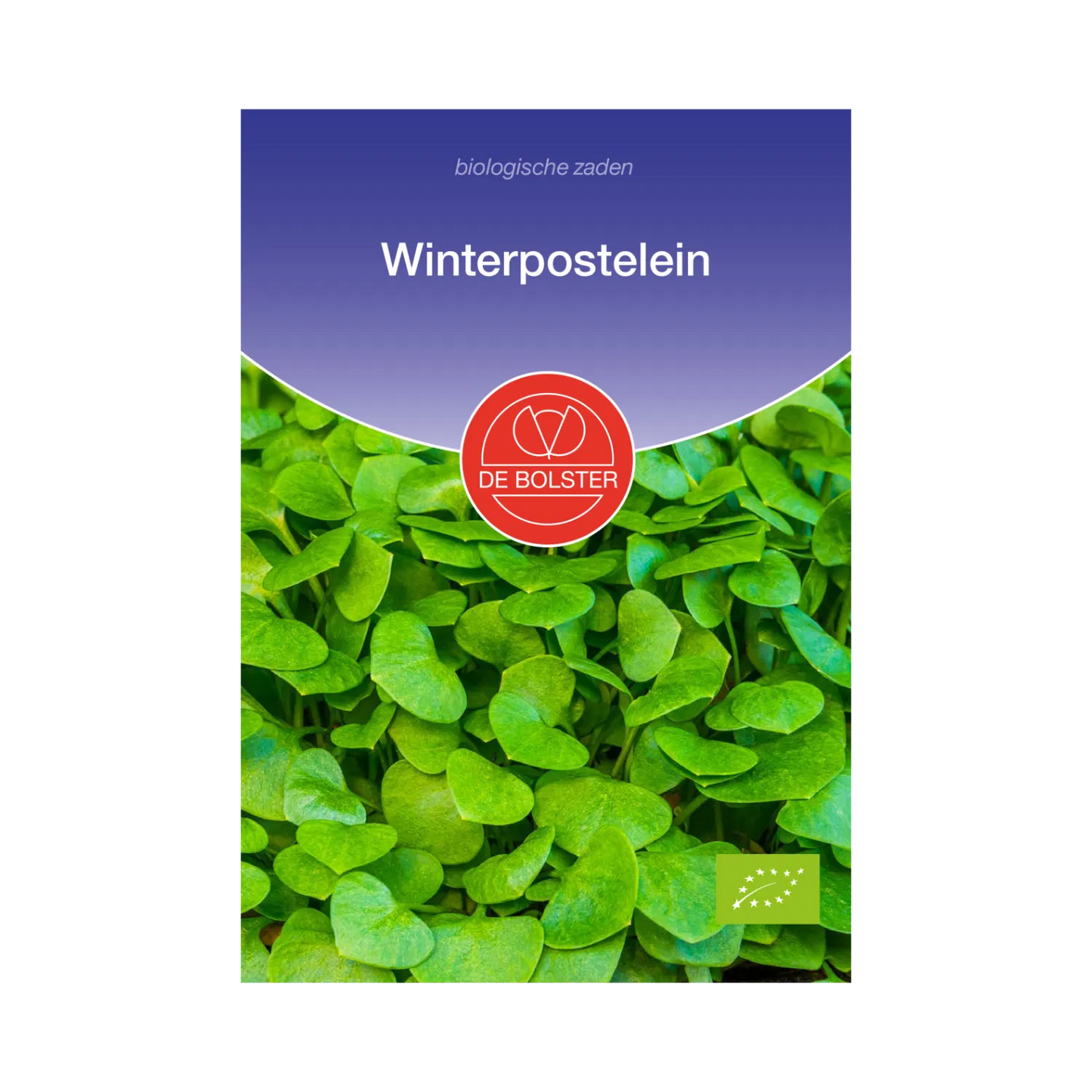 Winterpostelein De Bolster