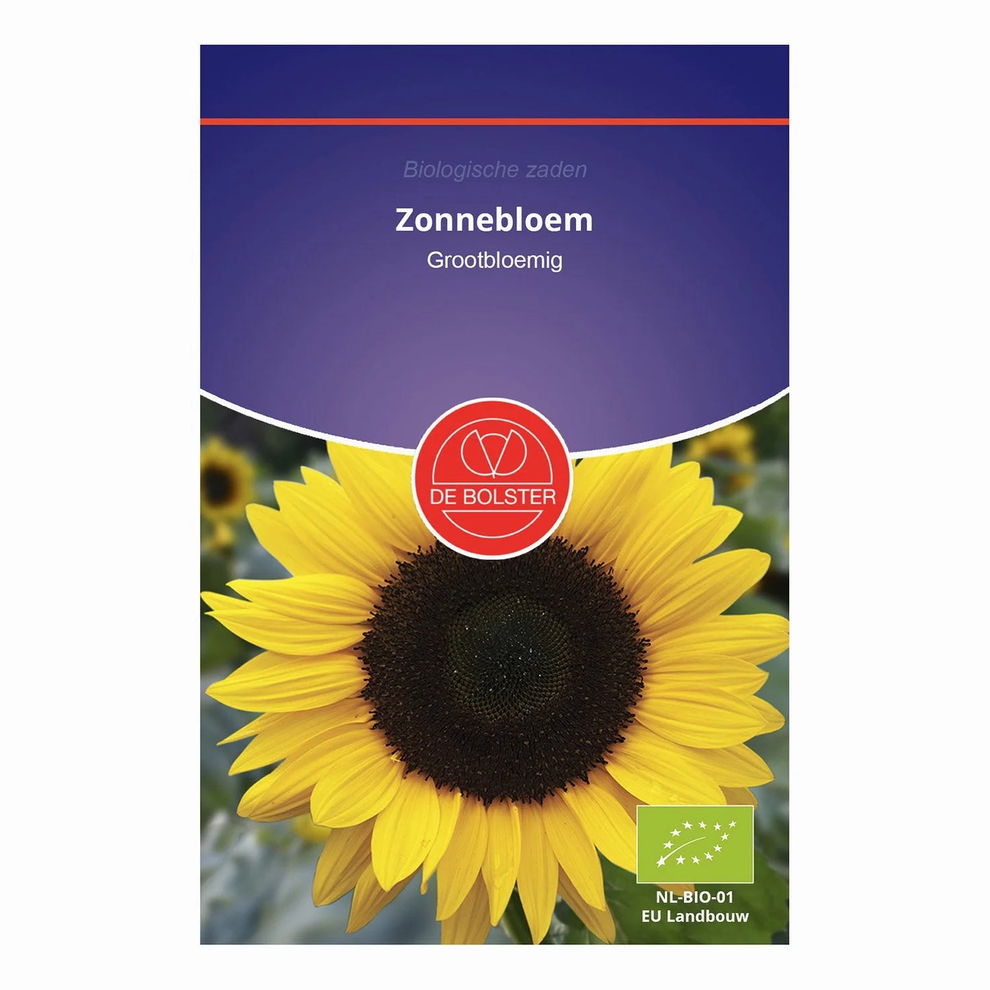 Zonnebloem Grootbloemig De Bolster