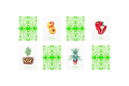 Gardener’s Match | Een fruit en groenten memoryspel | Laurence King Publishing Group