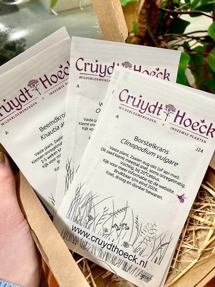 Vlindermengsel | Zadenpakket | Cruydt-Hoeck