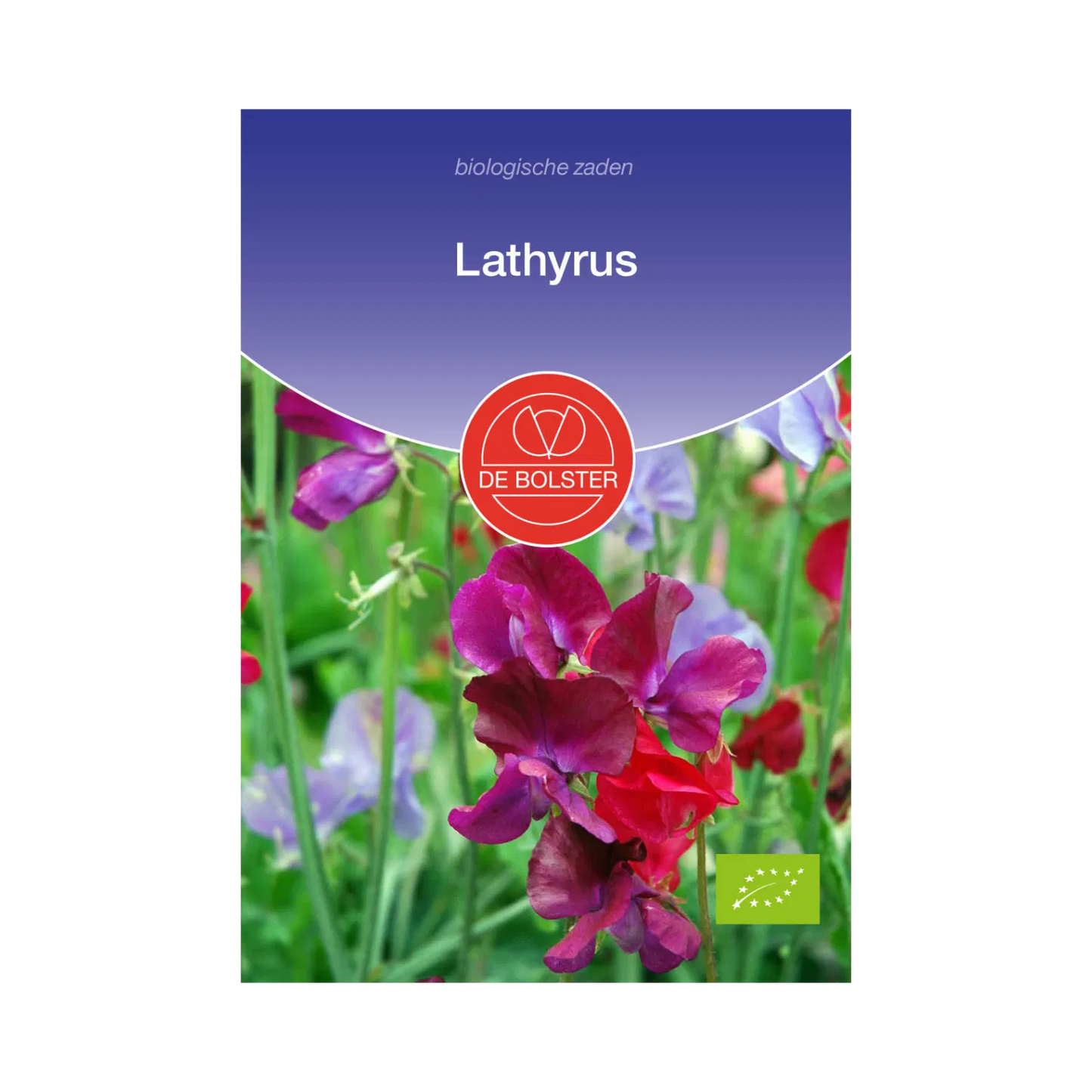 Lathyrus_De Bolster