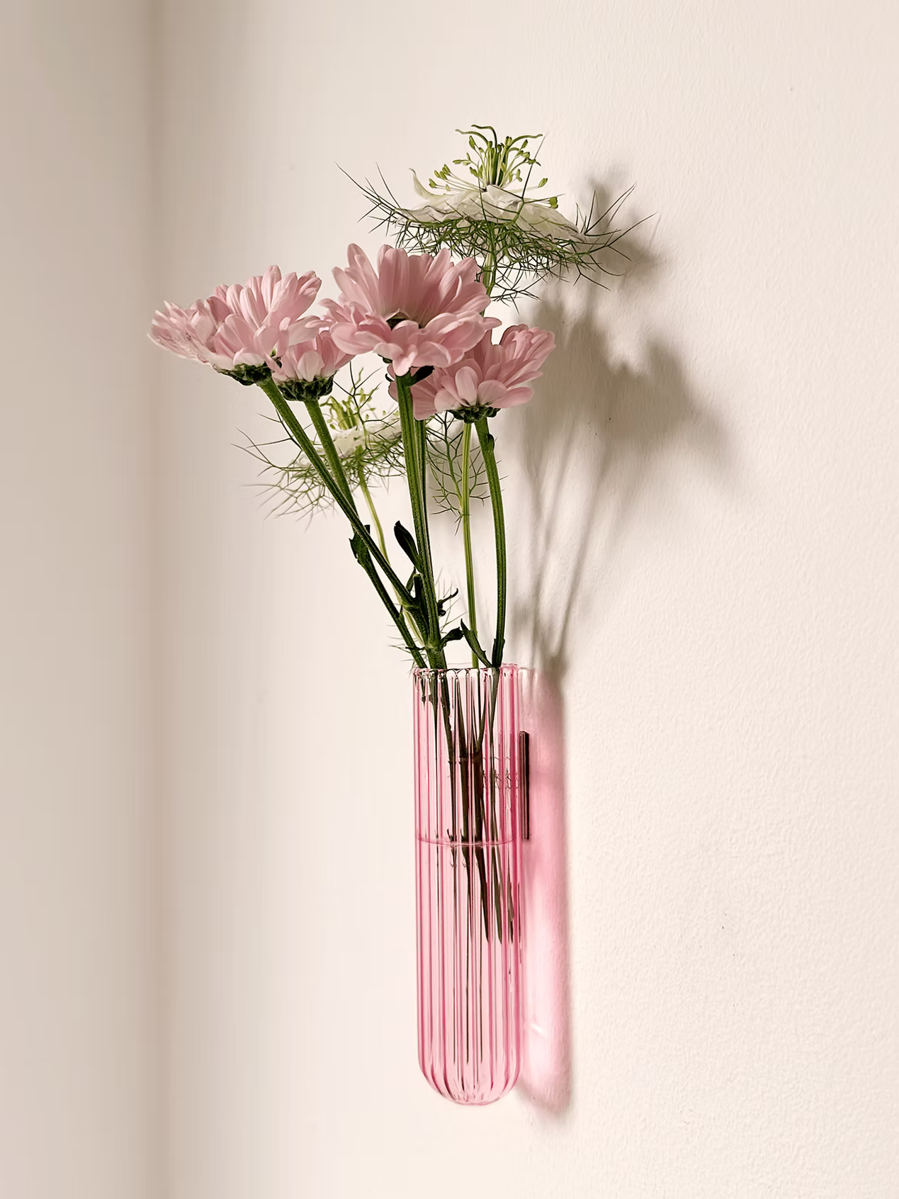 Magnetische plantenhanger voor stekjes Muurbloempjes Walleaf XL