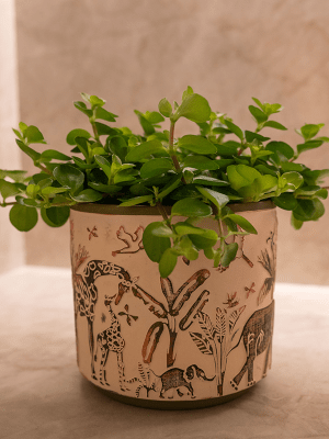 Plantenpot Safari Wildlife