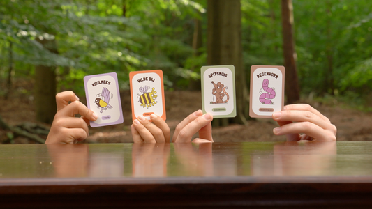 Plantje Boom | Educatief kaartspel over biodiversiteit