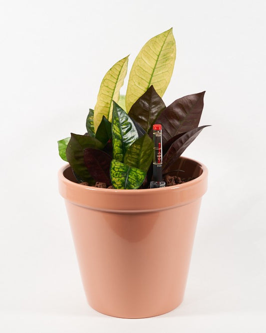 Watermeter hydrocultuur