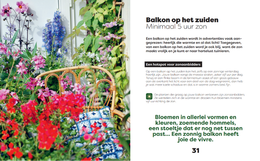 Balkon Geluk | Suzanne de Boer & Friederike Joppen
