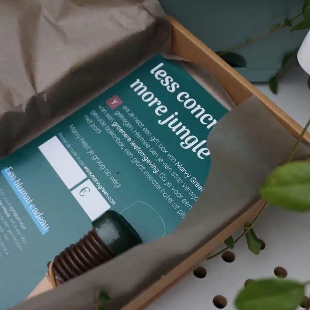 Gift box – brievenbuscadeau