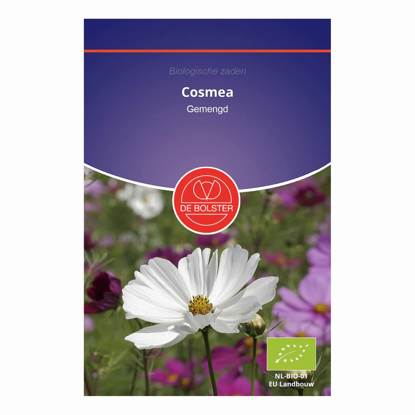 Cosmea "Gemengd" De Bolster