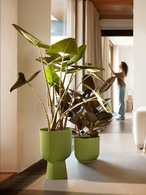 Elho Vibes Fold plantenbak