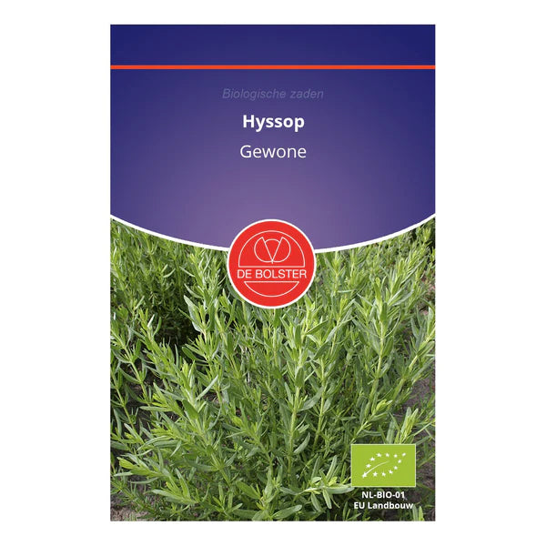 Hyssop De Bolster
