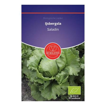 IJsbergsla 'Saladin' De Bolster