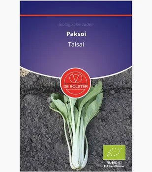Paksoi 'Taisai' De Bolster