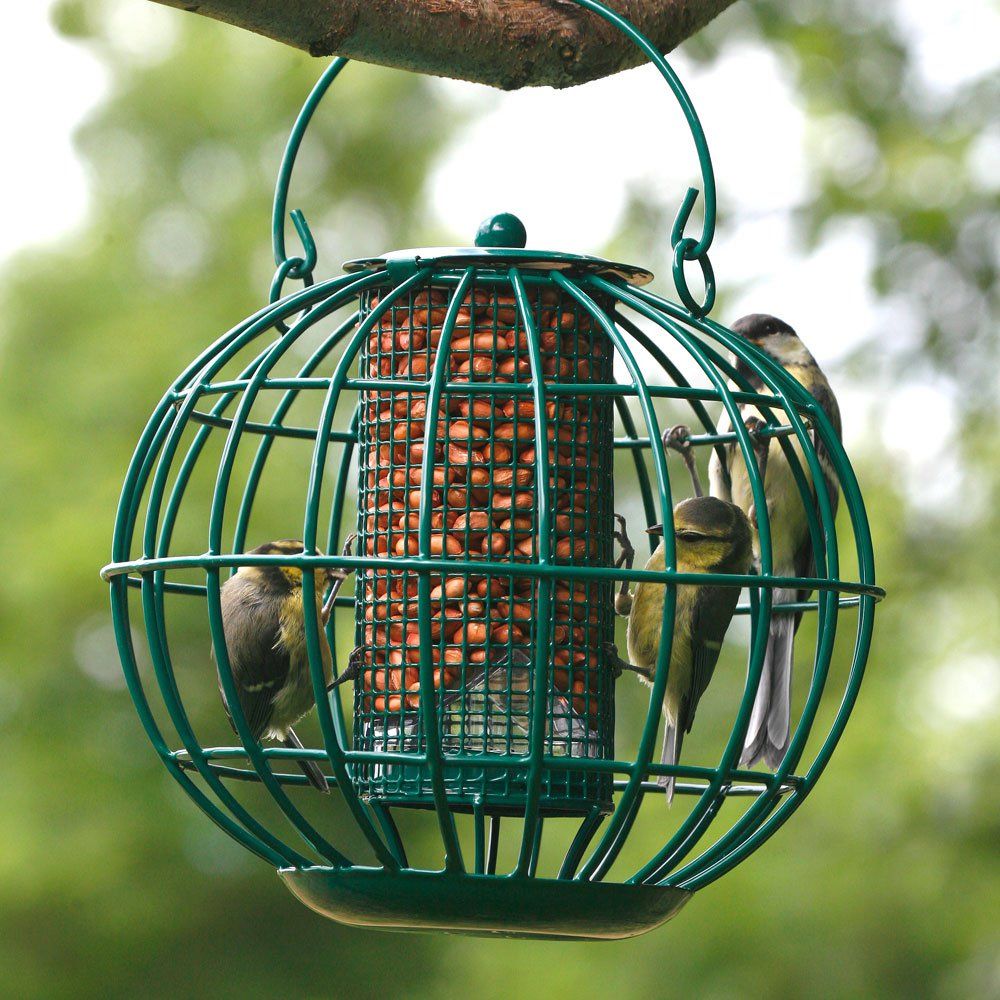 Pindasilo London Vogelbescherming
