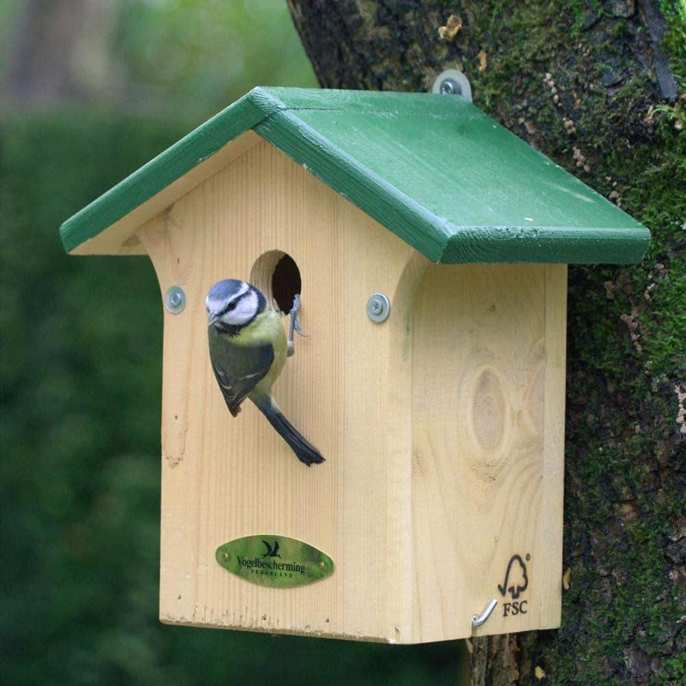 Nestkast pimpelmees & zwarte mees Vogelbescherming