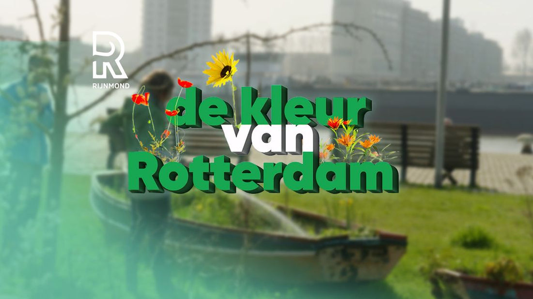 Kijktip: De kleur van Rotterdam