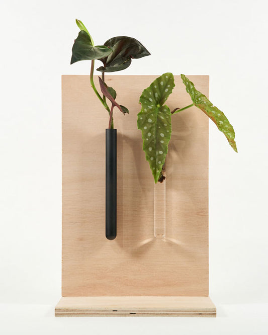 Magnetische plantenhanger voor stekjes Muurbloempjes Walleaf
