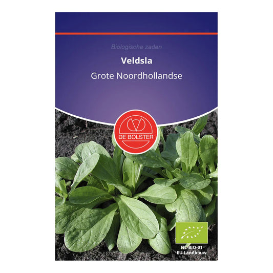 Veldsla 'Grote Noordhollandse' De Bolster