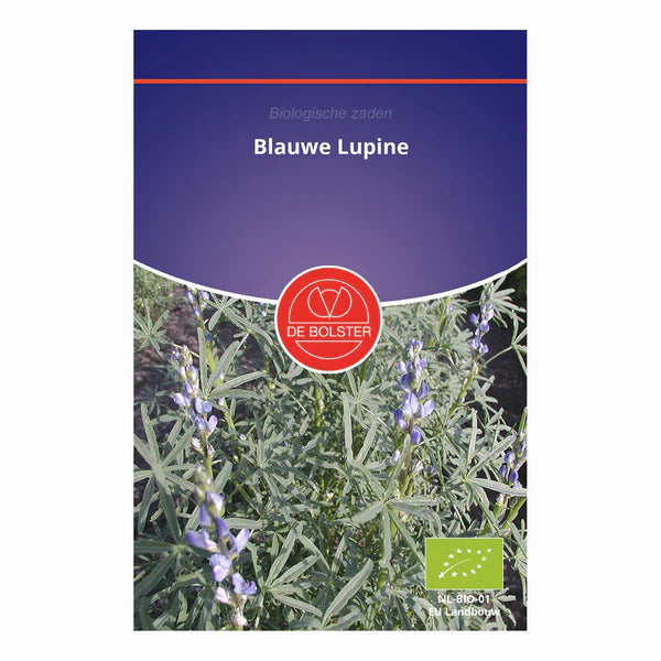 Blauwe lupine 'Groenbemester' De Bolster