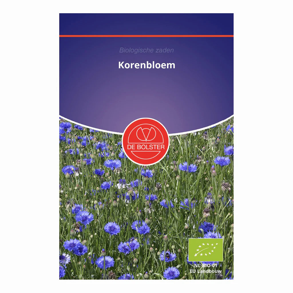 Korenbloem De Bolster