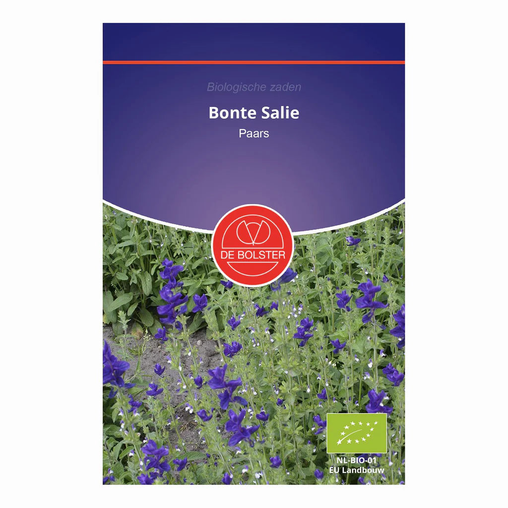Bonte salie paars De Bolster