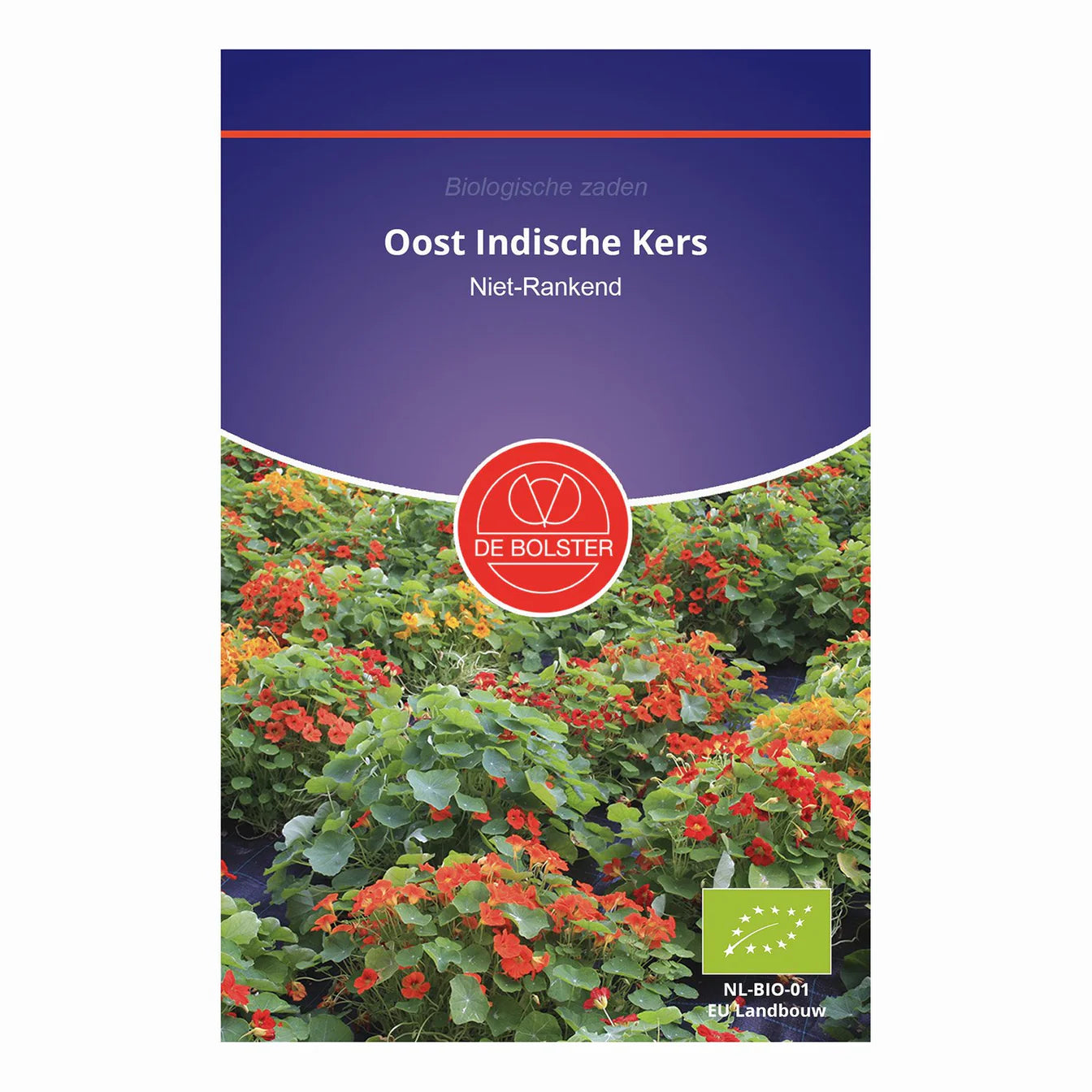 Oost-Indische kers (rankend) De Bolster