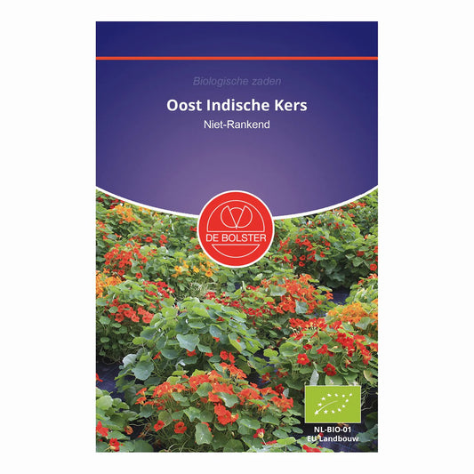 Oost-Indische kers (rankend) De Bolster