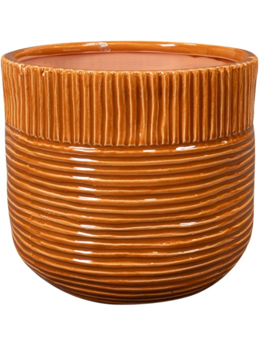 Pot Nona horizon