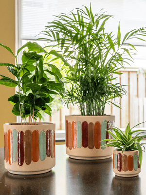 Plantenpot Anna Striped