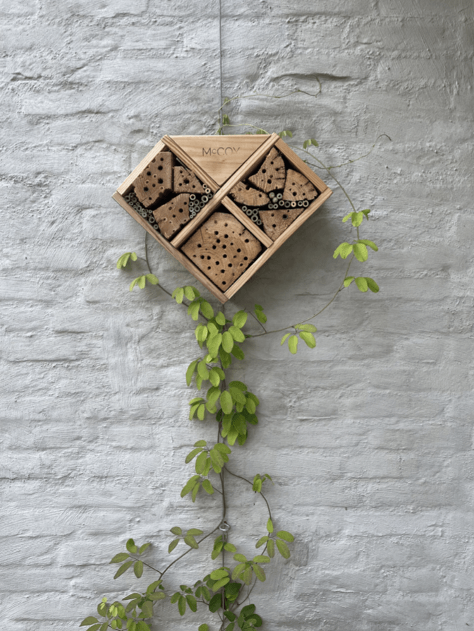 Bestuivershotel Bee&Bee BeeGrateful