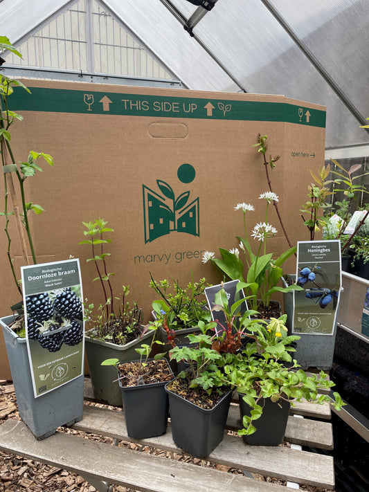 Bijtankstationpakket biologisch