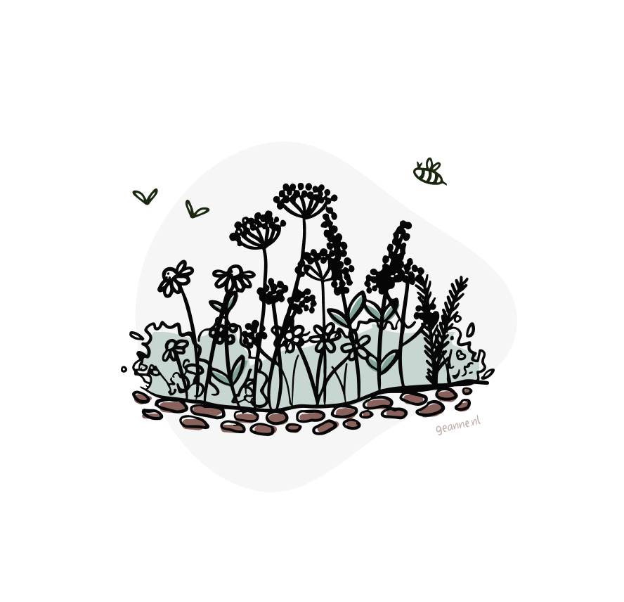 Borderpakket biologisch