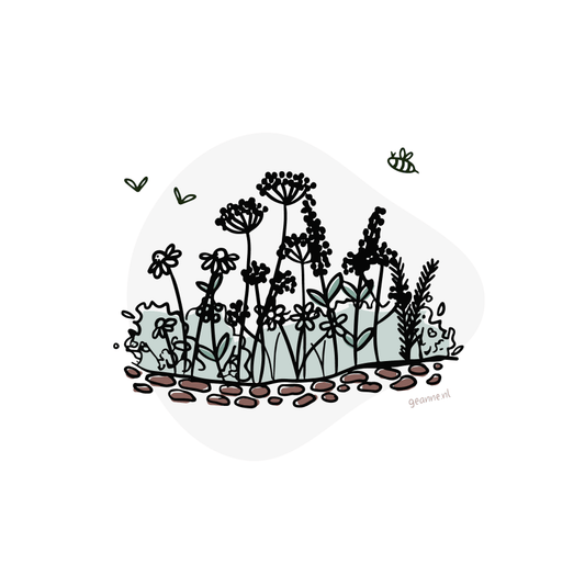 Borderpakket biologisch