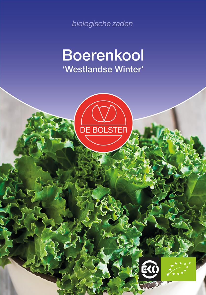 Boerenkool_Wstlandse winter_de Bolster