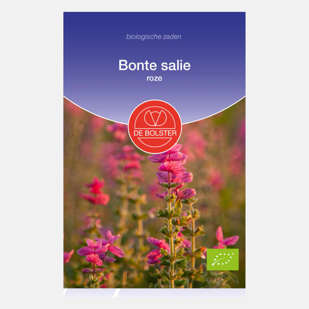 Bonte salie roze - de Bolster