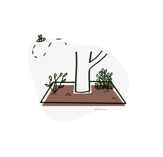 Boomspiegelpakket biologisch