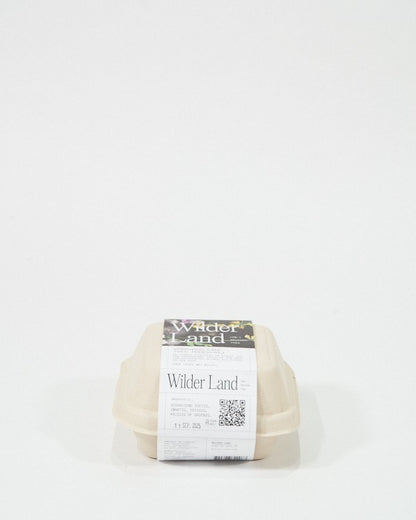 (on)kruidenthee Wilder Land 20 zakjes